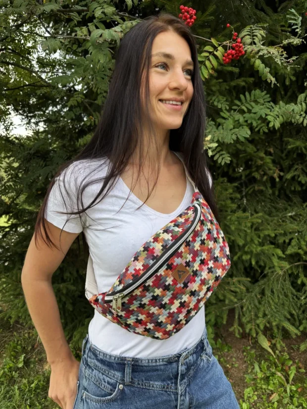 Ledvinka Mozaika